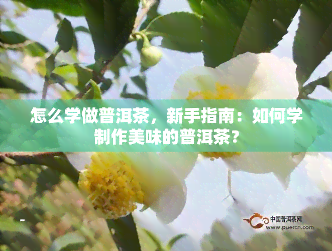 怎么学做普洱茶，新手指南：如何学制作美味的普洱茶？