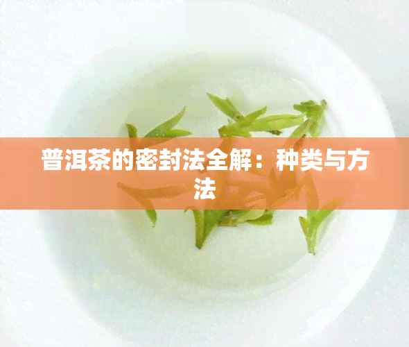 普洱茶的密封法全解：种类与方法