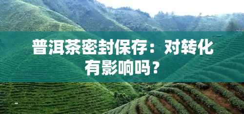 普洱茶密封保存：对转化有影响吗？