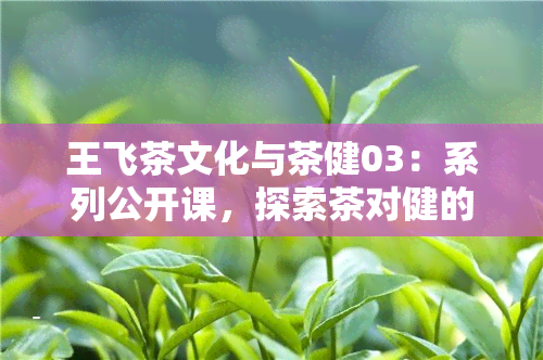 王飞茶文化与茶健03：系列公开课，探索茶对健的益处与文化内涵