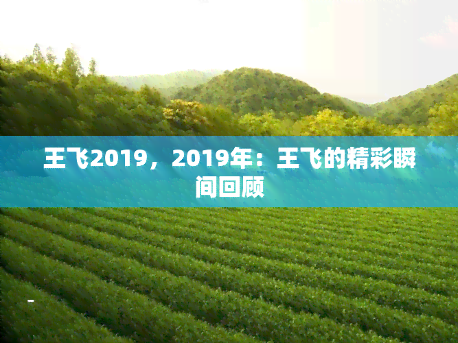 王飞2019，2019年：王飞的精彩瞬间回顾