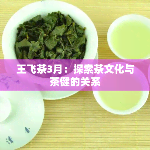 王飞茶3月：探索茶文化与茶健的关系