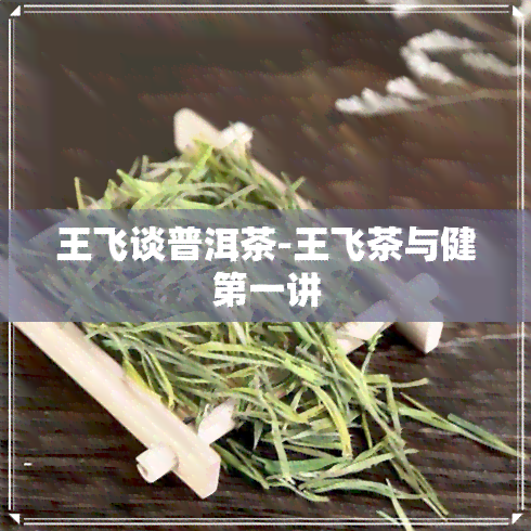 王飞谈普洱茶-王飞茶与健之一讲