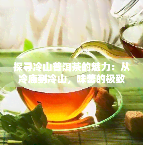 探寻冷山普洱茶的魅力：从冷庙到冷山，味蕾的极致享受