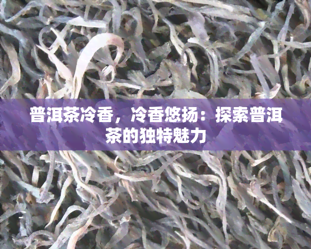 普洱茶冷香，冷香悠扬：探索普洱茶的独特魅力