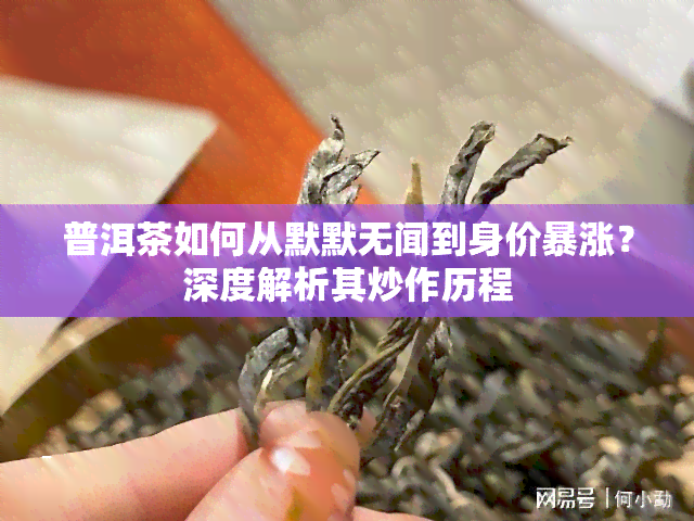 普洱茶如何从默默无闻到身价暴涨？深度解析其炒作历程