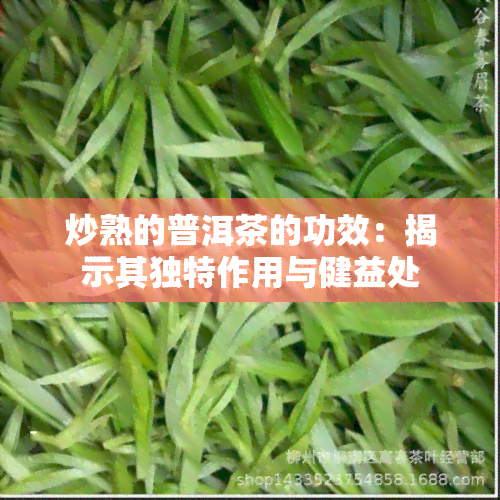 炒熟的普洱茶的功效：揭示其独特作用与健益处