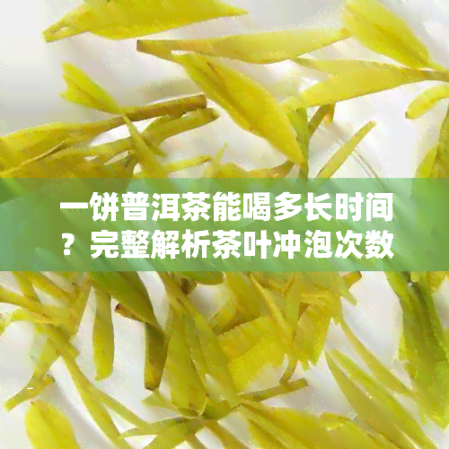 一饼普洱茶能喝多长时间？完整解析茶叶冲泡次数与持久度