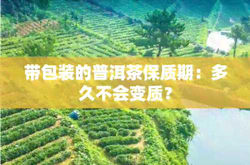 带包装的普洱茶保质期：多久不会变质？