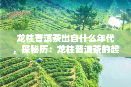 龙柱普洱茶出自什么年代，探秘历：龙柱普洱茶的起源与年代