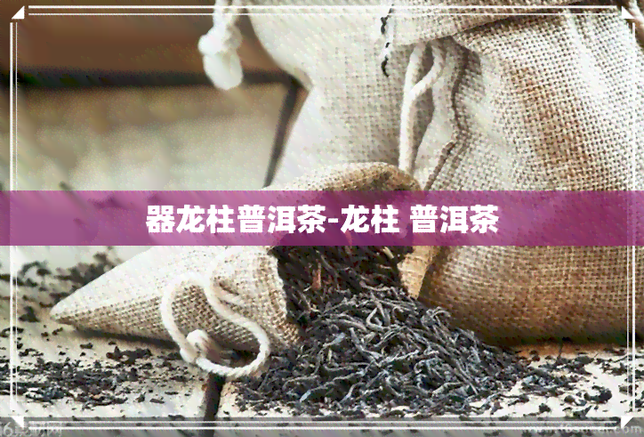 器龙柱普洱茶-龙柱 普洱茶