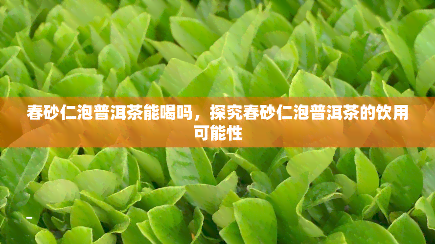 春砂仁泡普洱茶能喝吗，探究春砂仁泡普洱茶的饮用可能性