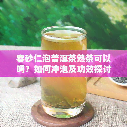 春砂仁泡普洱茶熟茶可以吗？如何冲泡及功效探讨