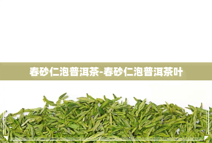 春砂仁泡普洱茶-春砂仁泡普洱茶叶