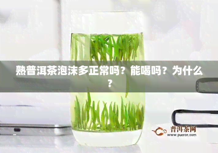 熟普洱茶泡沫多正常吗？能喝吗？为什么？