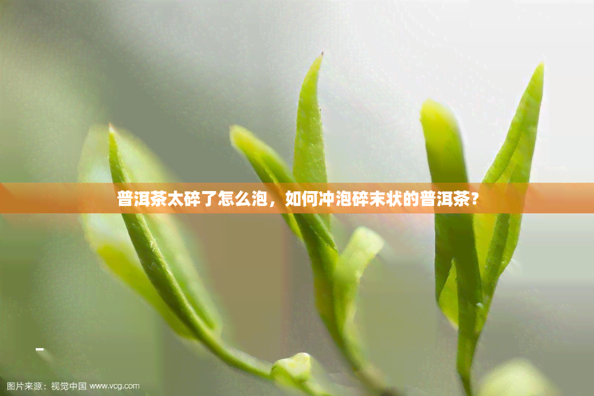 普洱茶太碎了怎么泡，如何冲泡碎末状的普洱茶？