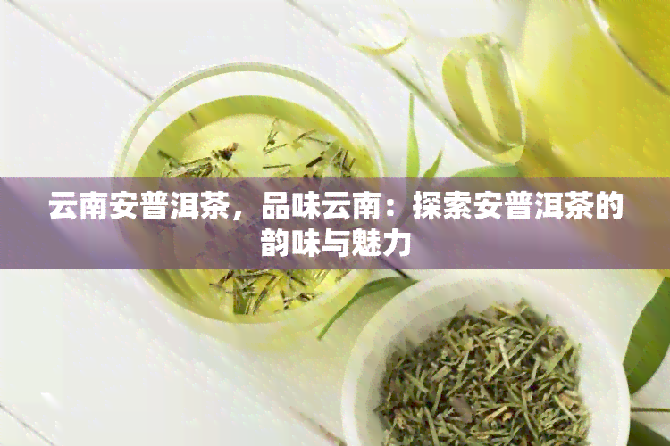 云南安普洱茶，品味云南：探索安普洱茶的韵味与魅力