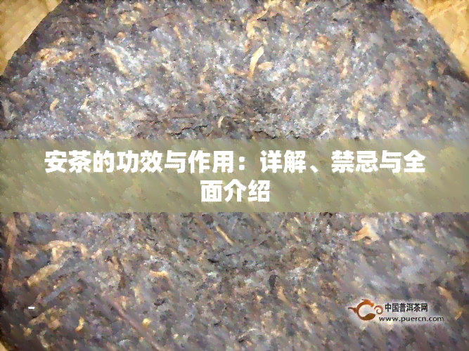 安茶的功效与作用：详解、禁忌与全面介绍