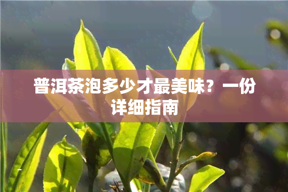 普洱茶泡多少才最美味？一份详细指南