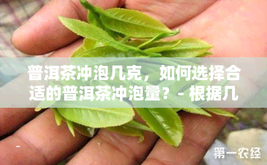 普洱茶冲泡几克，如何选择合适的普洱茶冲泡量？- 根据几克？