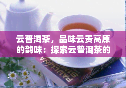 云普洱茶，品味云贵高原的韵味：探索云普洱茶的世界