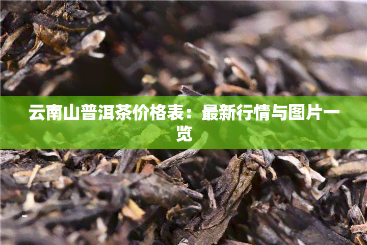 云南山普洱茶价格表：最新行情与图片一览