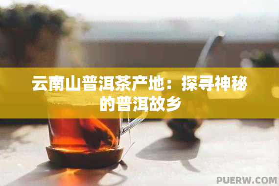 云南山普洱茶产地：探寻神秘的普洱故乡