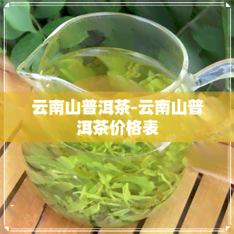 云南山普洱茶-云南山普洱茶价格表