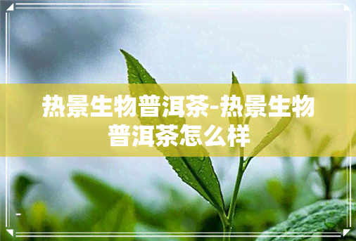 热景生物普洱茶-热景生物普洱茶怎么样