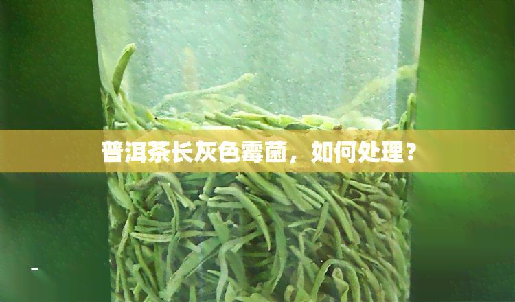 普洱茶长灰色霉菌，如何处理？