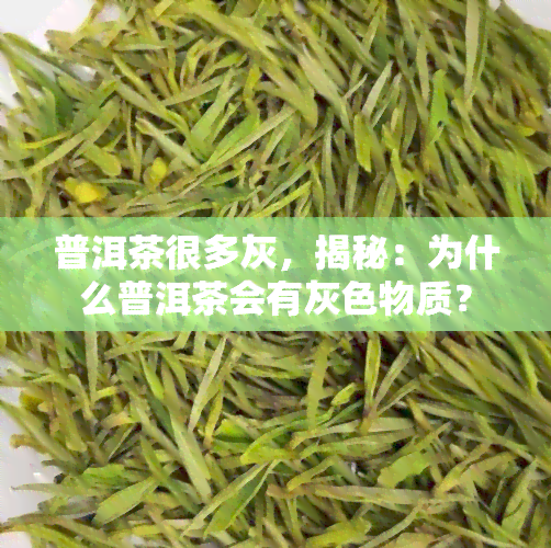 普洱茶很多灰，揭秘：为什么普洱茶会有灰色物质？