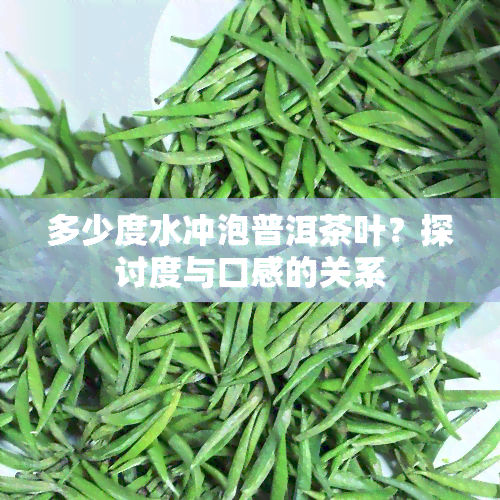 多少度水冲泡普洱茶叶？探讨度与口感的关系