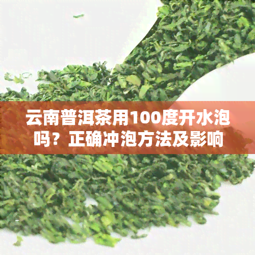 云南普洱茶用100度开水泡吗？正确冲泡方法及影响口感的因素