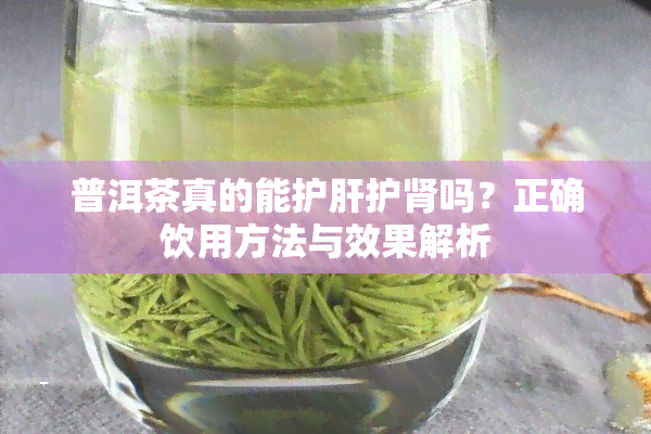 普洱茶真的能护肝护肾吗？正确饮用方法与效果解析