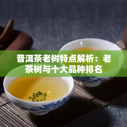 普洱茶老树特点解析：老茶树与十大品种排名