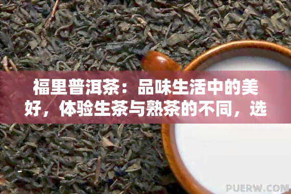 福里普洱茶：品味生活中的美好，体验生茶与熟茶的不同，选择235福里，让你的生活更加精彩。