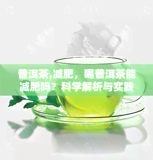 普洱茶,减肥，喝普洱茶能减肥吗？科学解析与实践分享