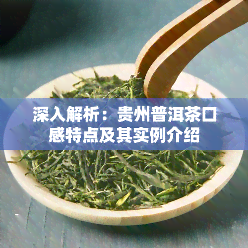 深入解析：贵州普洱茶口感特点及其实例介绍