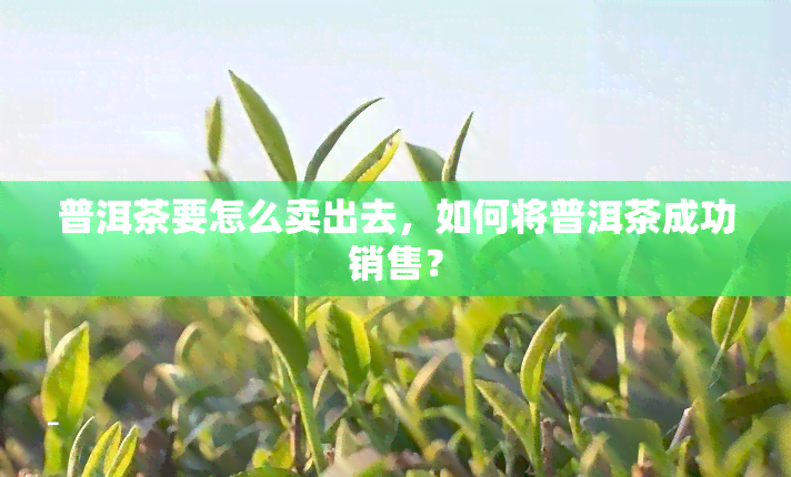 普洱茶要怎么卖出去，如何将普洱茶成功销售？