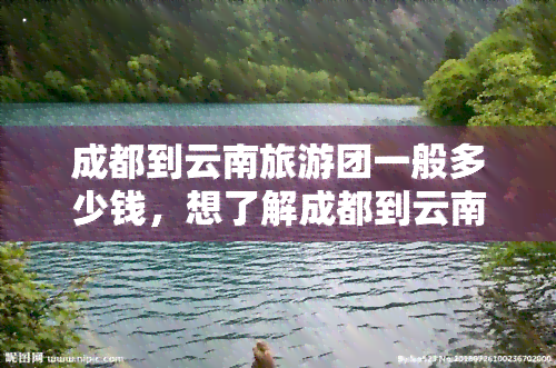 成都到云南旅游团一般多少钱，想了解成都到云南旅游团的价格吗？一看你就知道了！