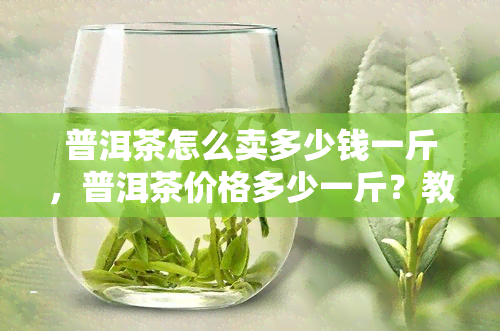 普洱茶怎么卖多少钱一斤，普洱茶价格多少一斤？教你如何正确购买和销售