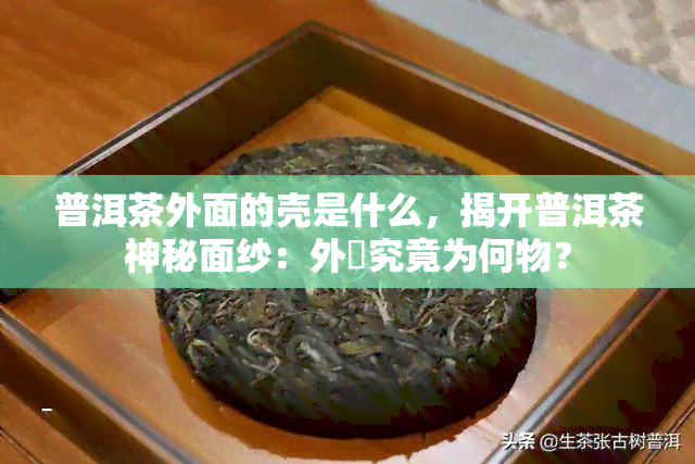 普洱茶外面的壳是什么，揭开普洱茶神秘面纱：外売究竟为何物？