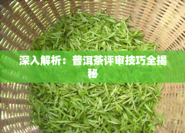 深入解析：普洱茶评审技巧全揭秘