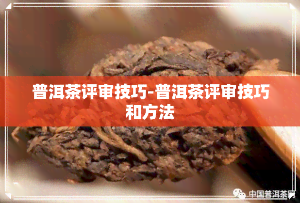 普洱茶评审技巧-普洱茶评审技巧和方法