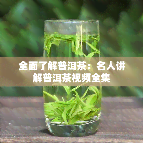 全面了解普洱茶：名人讲解普洱茶视频全集