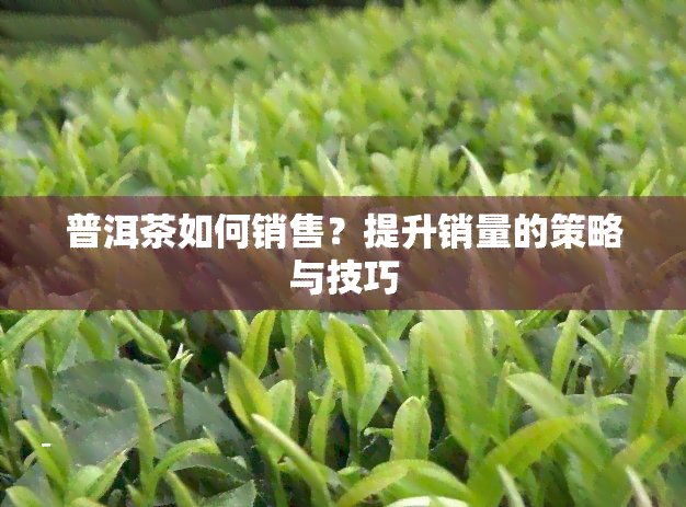 普洱茶如何销售？提升销量的策略与技巧