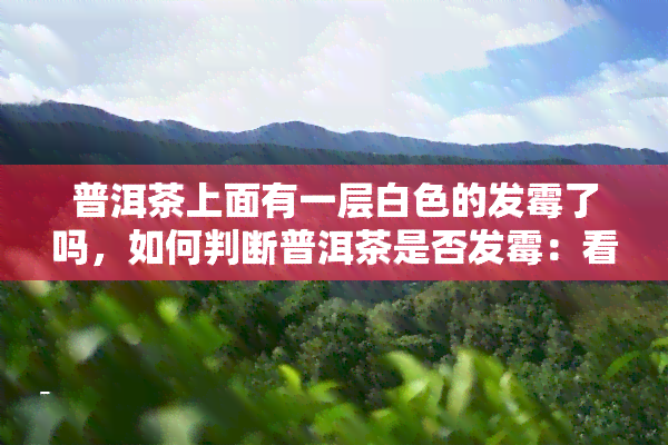 普洱茶上面有一层白色的发霉了吗，如何判断普洱茶是否发霉：看表面白色物质