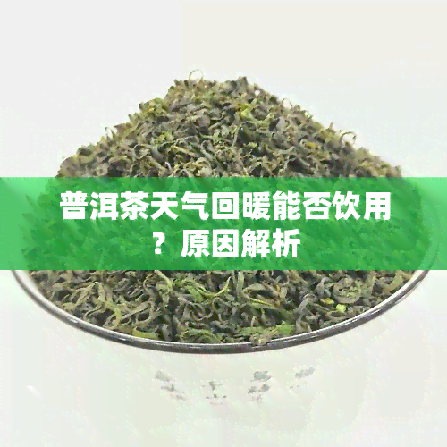 普洱茶天气回暖能否饮用？原因解析