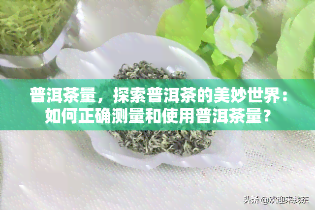 普洱茶量，探索普洱茶的美妙世界：如何正确测量和使用普洱茶量？