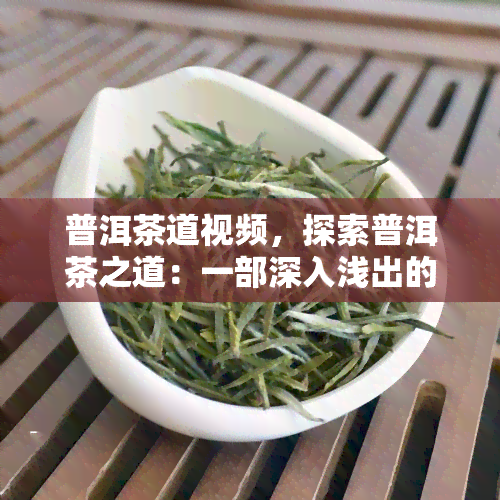 普洱茶道视频，探索普洱茶之道：一部深入浅出的视频指南